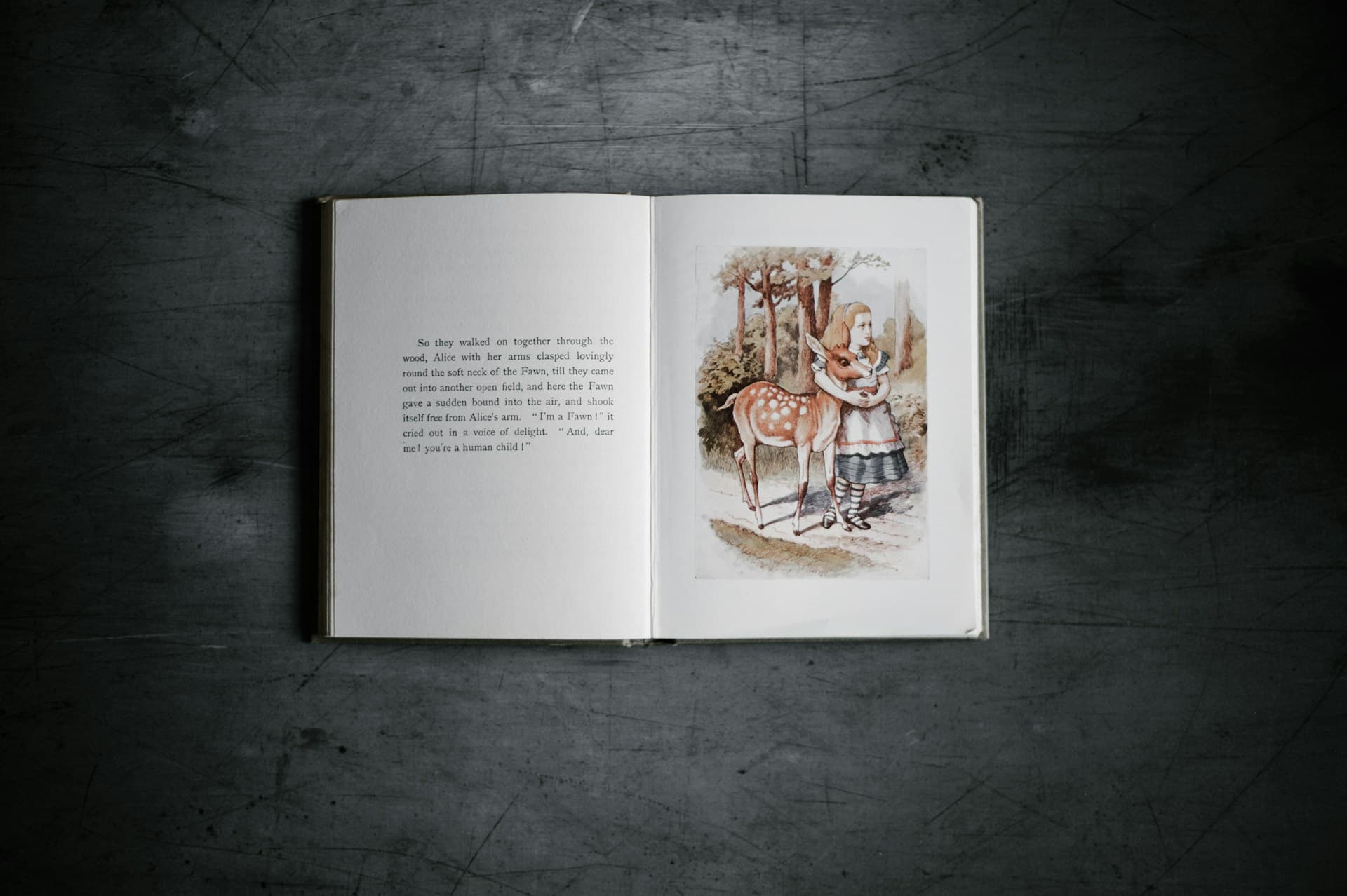 Illustrator sketching character artwork for a children's book
